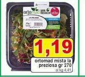 Gros Insalata offerta