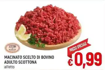 A&O MACINATO SCELTO DI BOVINO ADULTO SCOTTONA offerta