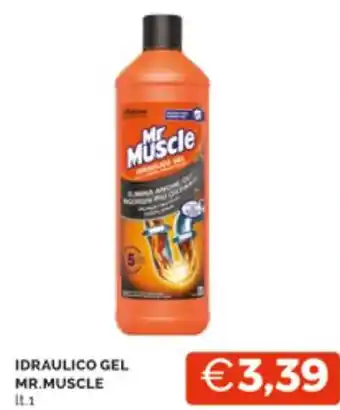 Mercatò IDRAULICO GEL MR.MUSCLE lt. 1 offerta