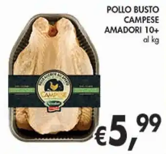 D'Italy POLLO BUSTO CAMPESE AMADORI 10+ al kg offerta