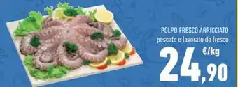 Conad POLPO FRESCO ARRICCIATO pescato e lavorato da fresco offerta
