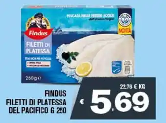 Deco Superfreddo FINDUS FILETTI DI PLATESSA DEL PACIFICO G 250 offerta