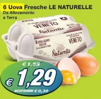 Prix Quality 6 Uova Fresche LE NATURELLE Da Allevamento a Terra offerta
