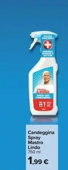 Carrefour Mastro lindo Pulizia pavimenti offerta