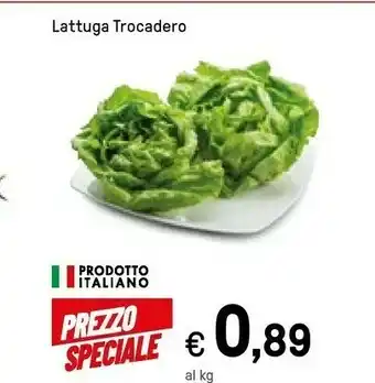 Iper La Grande Lattuga offerta