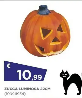 Zucca Luminosa 22cm