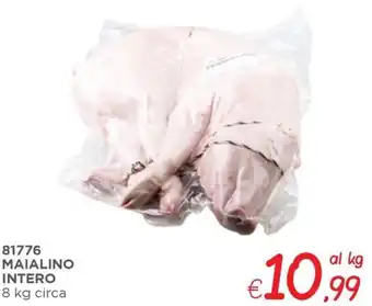 MAIALINO INTERO 8 kg circa