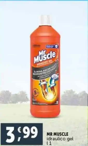 Deco Supermercati MR MUSCLE idraulico gel L1 offerta