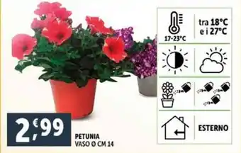 Deco Supermercati PETUNIA VASO Ø CM 14 offerta