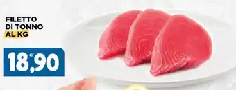 Gecop FILETTO DI TONNO offerta