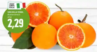 Madis ORO DELLA TERRA Arance tarocco al kg offerta