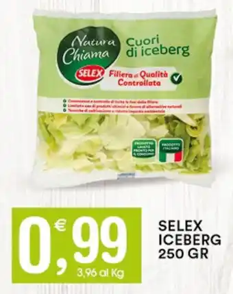 Gecop SELEX ICEBERG 250 GR offerta