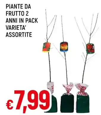 PIANTE DA FRUTTO 2 ANNI IN PACK VARIETA' ASSORTITE