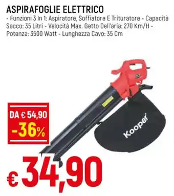 Famila ASPIRAFOGLIE ELETTRICO offerta