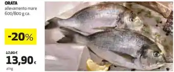 Coop ORATA allevamento mare 600/800 g ca. offerta