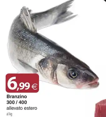 Docks Cash&Carry Branzino 300 / 400 allevato estero offerta