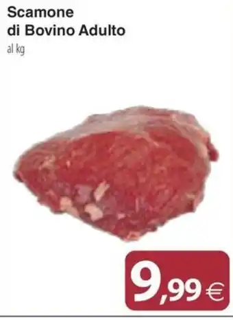 Docks Cash&Carry Scamone di Bovino Adulto offerta