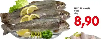 TROTA SALMONATA fresco