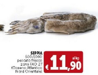 Deco Supermercati Seppia offerta