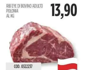 Carico Cash & Carry RIB EYE DI BOVINO ADULTO POLONIA AL KG offerta