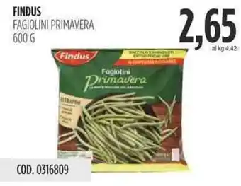 Carico Cash & Carry FINDUS FAGIOLINI PRIMAVERA 600 G offerta