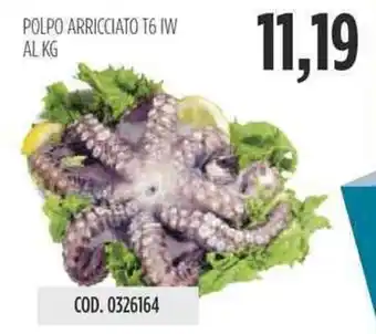 Carico Cash & Carry POLPO ARRICCIATO T6 IW offerta