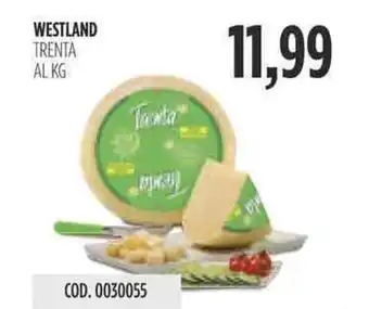 Carico Cash & Carry WESTLAND TRENTA offerta