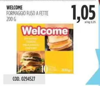 Carico Cash & Carry WELCOME FORMAGGIO FUSO A FETTE 200 g offerta