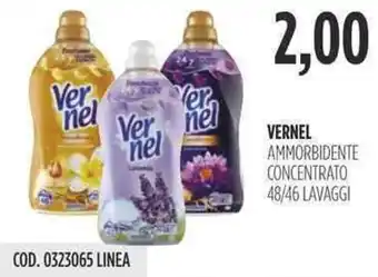 Carico Cash & Carry VERNEL AMMORBIDENTE CONCENTRATO 48/46 LAVAGGI offerta
