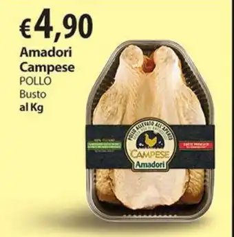 Extra Supermercati Amadori Campese POLLO Busto al Kg offerta