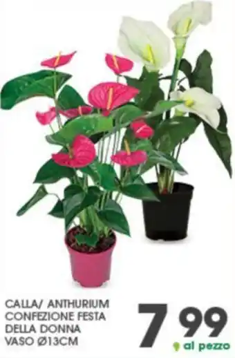 Eurospar CALLA/ ANTHURIUM CONFEZIONE FESTA DELLA DONNA VASO Ø13CM offerta
