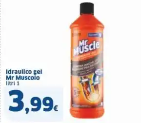 Sigma Idraulico gel Mr Muscolo litri 1 offerta