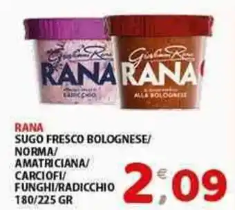 RANA SUGO FRESCO BOLOGNESE/ NORMA/ AMATRICIANA/ CARCIOFI/ FUNGHI/RADICCHIO 180/225 GR
