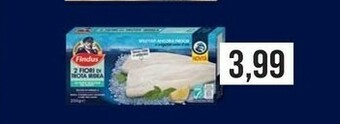 Supermercati Gulliver Findus Surgelati offerta