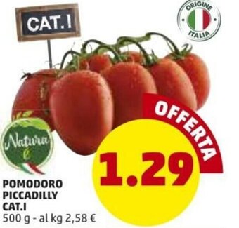 PENNY Pomodoro Piccadilly Cat.I offerta