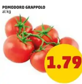 PENNY POMODORO GRAPPOLO offerta