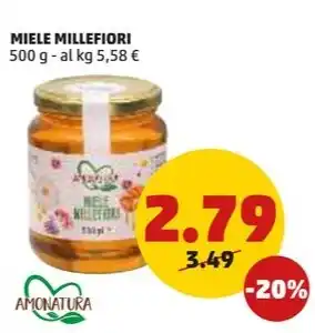 PENNY MIELE MILLEFIORI 500 g offerta