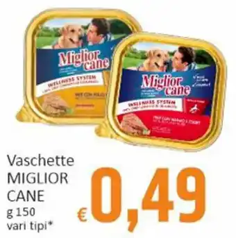 Paghi Poco Vaschette MIGLIOR CANE g 150 vari tipi offerta