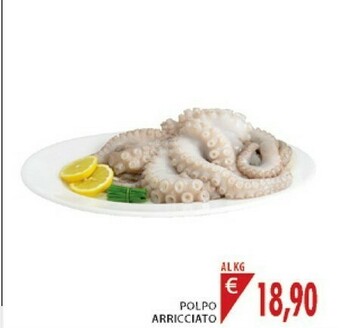 Mercatò Polpo Arricciato offerta