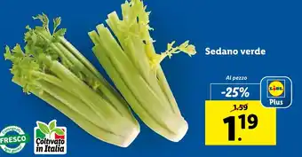 Sedano verde`