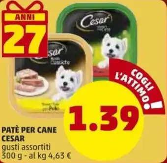 PENNY Cesar Patè per Cane 300g offerta