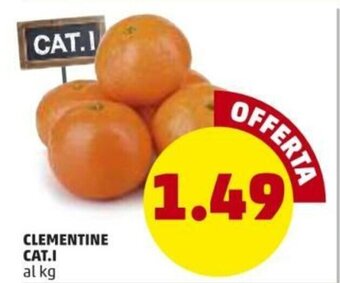 PENNY Clementine Cat.I offerta