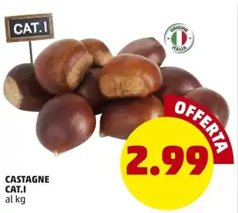 PENNY Castagne Cat.I offerta