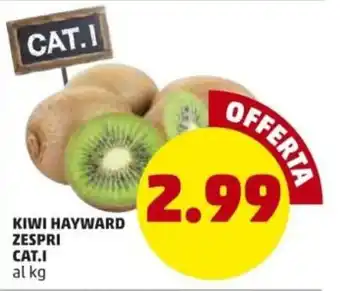 PENNY Kiwi Hayward Zespri Cat.I offerta