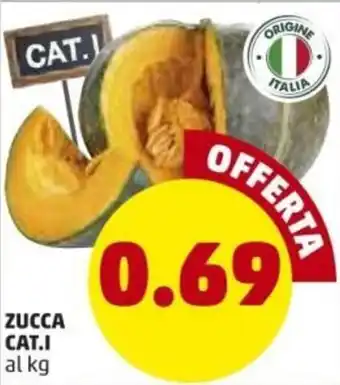PENNY Zucca Cat.I offerta