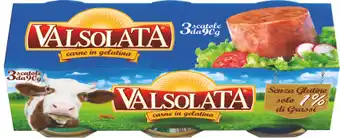 MD Discount CARNE IN GELATINA offerta