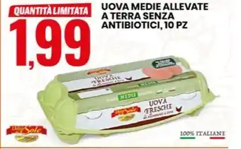 Eurospin UOVA MEDIE ALLEVATE A TERRA SENZA ANTIBIOTICI, 10 PZ offerta