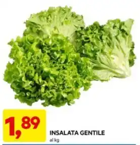 DPiù INSALATA GENTILE offerta