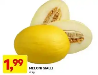 DPiù MELONI GIALLI offerta