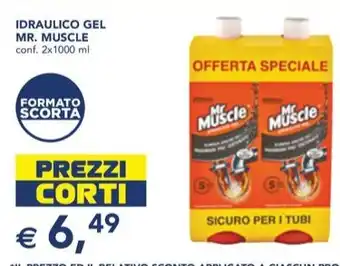Esselunga IDRAULICO GEL MR. MUSCLE conf. 2x1000 ml offerta